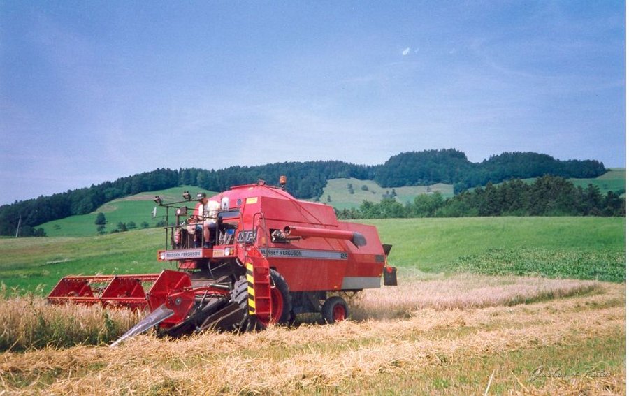 MF Drescher 24